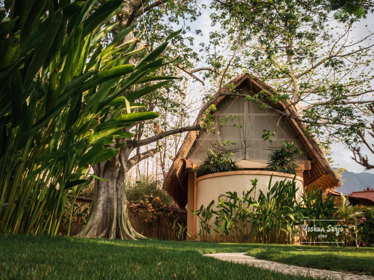 Kuda Laut Bungalows & Diving Pemuteran  Ngoại thất bức ảnh